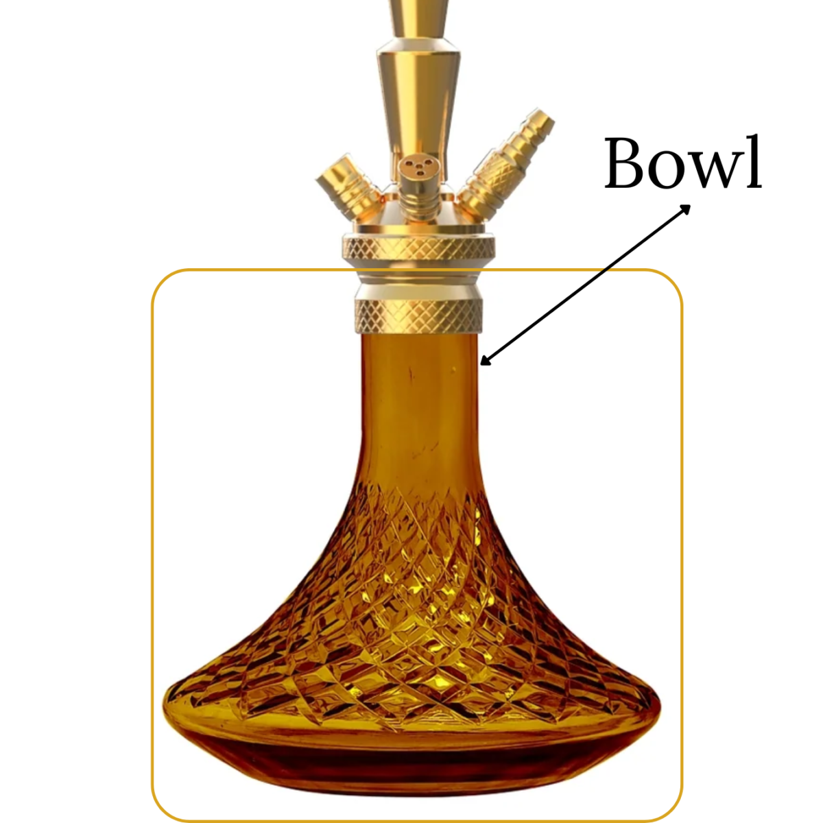 King Amber Base